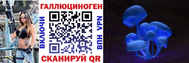 как найти закладки  Петровск  Галлюциногенные грибы Psilocybe 
